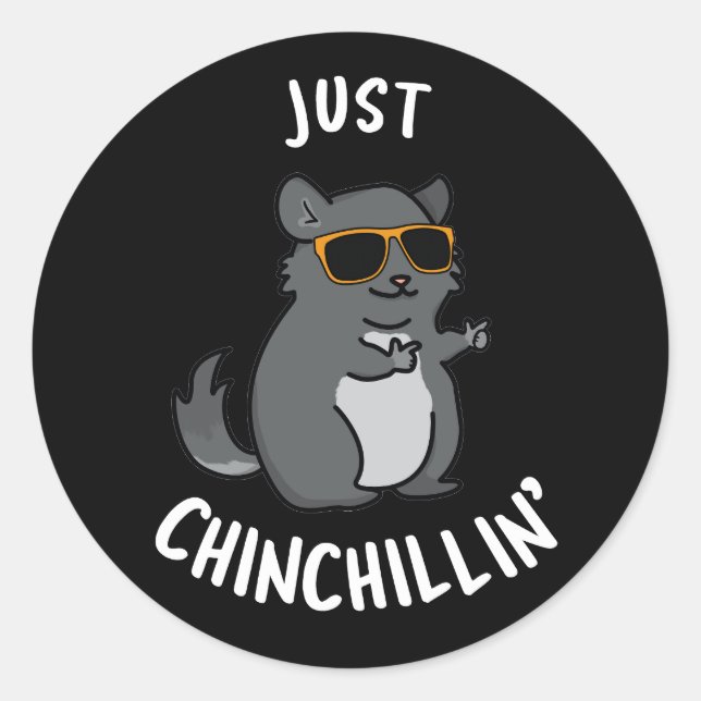 Just Chin-Chillin Funny Chinchilla Pun Dark BG Runder Aufkleber (Vorderseite)