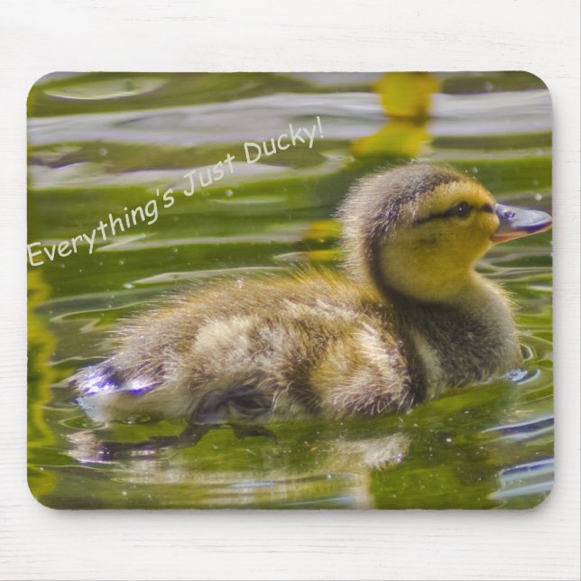 Just Ducky Mousepad (Vorne)