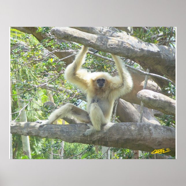 Just Hangin Out Poster (Vorne)