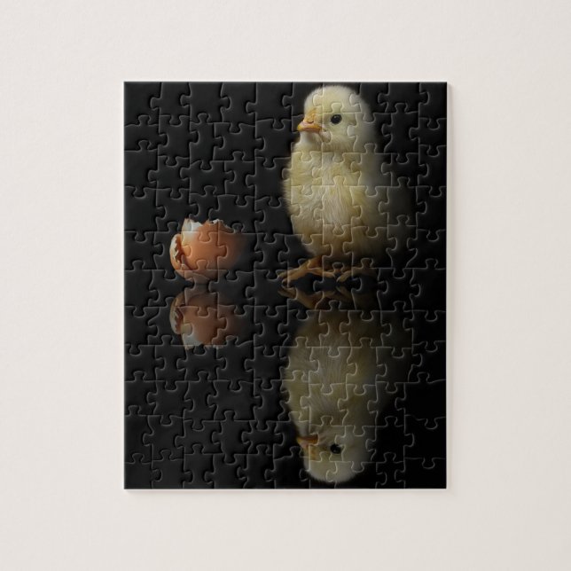 Just Hatched Chick (Vertikal)