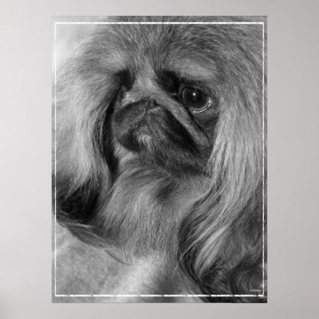 Just Jeroen Poster (Vorne)