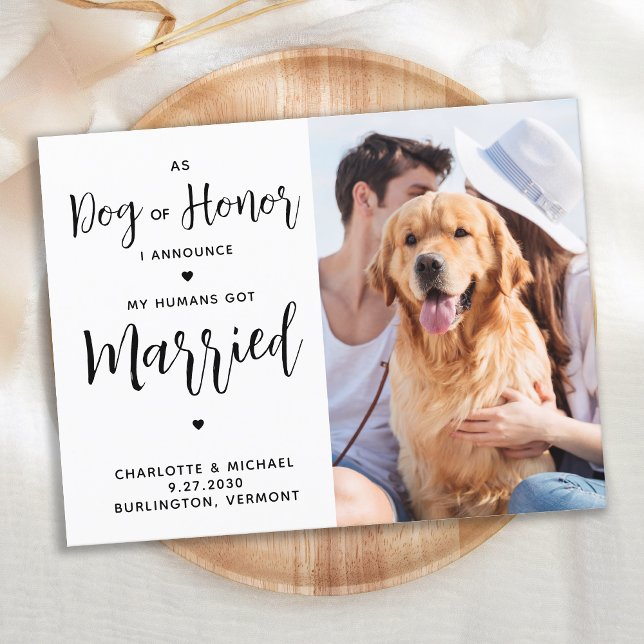 Just Married Hund Ehrenhochzeit Ankündigungspostkarte (Von Creator hochgeladen)