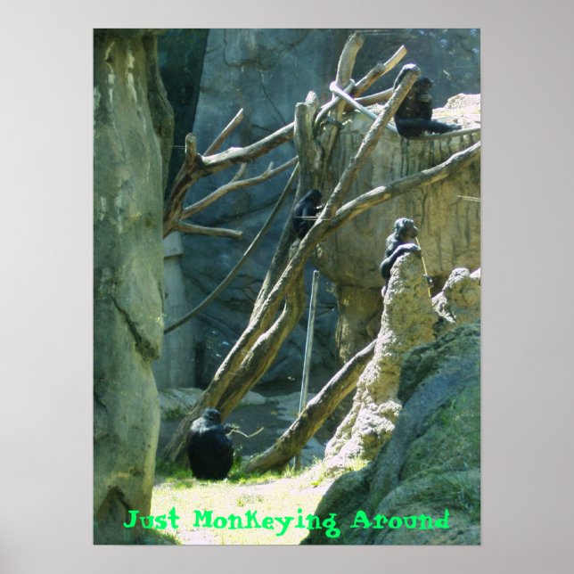 Just Monkeying Around Poster (Vorne)