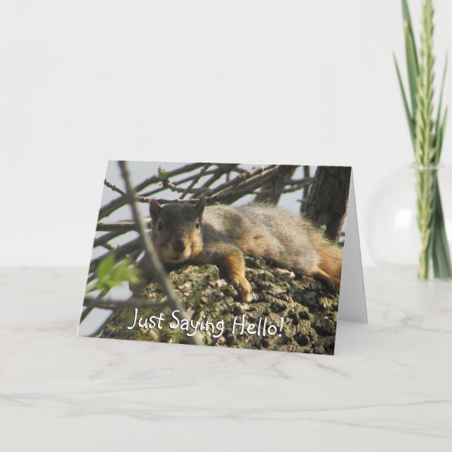 Just Sprichwort Hallo Niedliches Eichhörnchen in T Karte (Vorderseite)