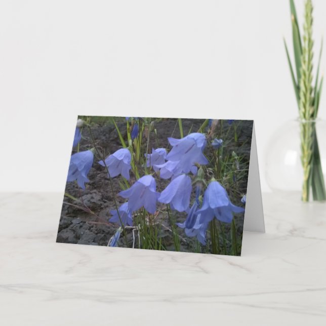 Juste carte de voeux bleue   se sentante (Devant)