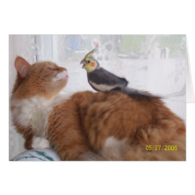 Juste se laissant tomber par pour dire salut (Devant horizontal)