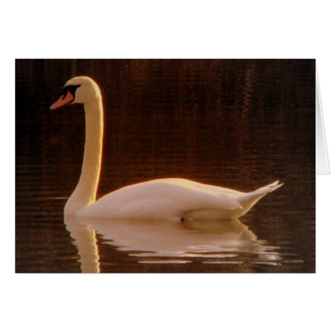 Juste un rêve (Devant horizontal)