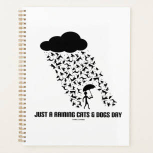 Juste Une Pluie Chats Et Chiens Jour Météorologie