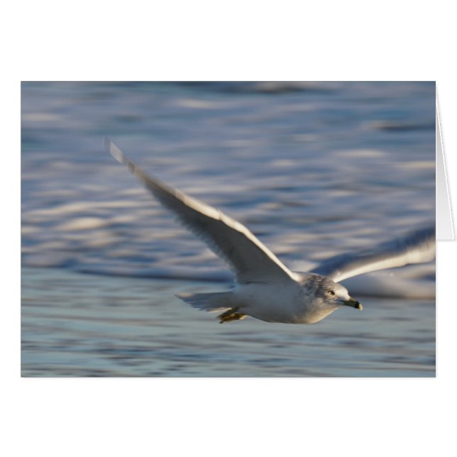 Juste volant autour (Devant Horizontal)