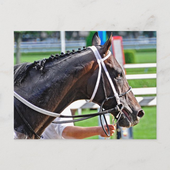 Justin Phillip erfasst den Vanderbilt Postkarte (Vorderseite)