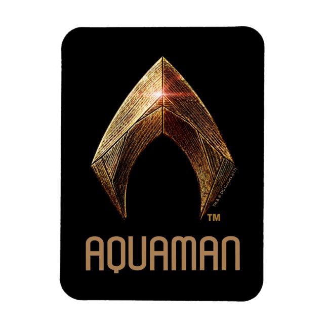 Justizielle Liga | Metallisches Aquaman-Symbol Magnet (Vertikal)