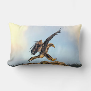 Juvenile Bald Eagle praktiziert seine Landefähigke Lendenkissen