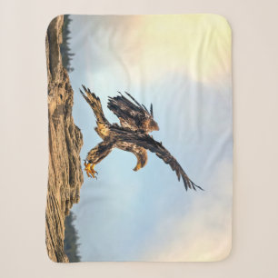 Juvenile Bald Eagle praktiziert seine Landefähigke Sherpadecke