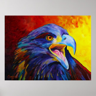 Juvenile Bald Eagle Print - von Corina St. Martin Poster