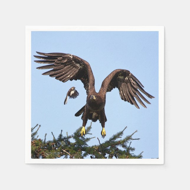 Juvenile Bald Eagle startet Serviette (Vorderseite)