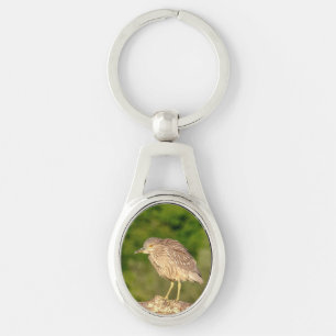 Juvenile Black Crowned Night Heron Schlüsselanhänger