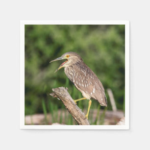 Juvenile Black Crowned Night Heron Serviette