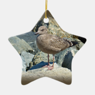 Juvenile Great Black Backed Gull Keramikornament