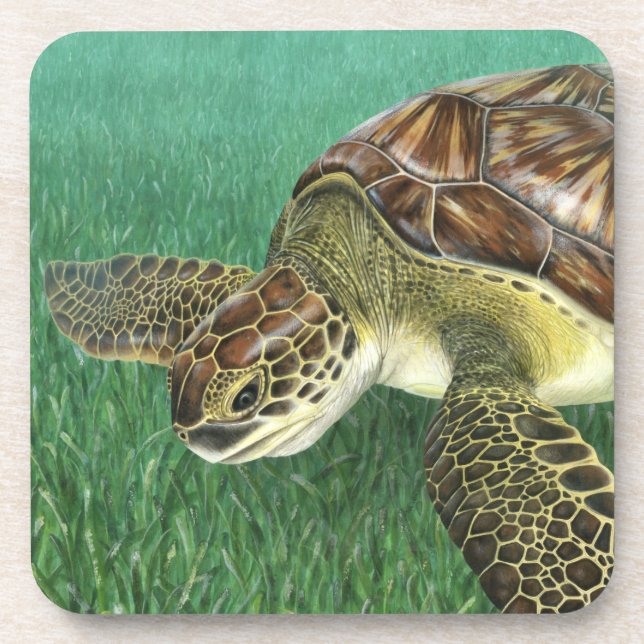 Juvenile Green Turtle Untersetzer (Vorderseite)