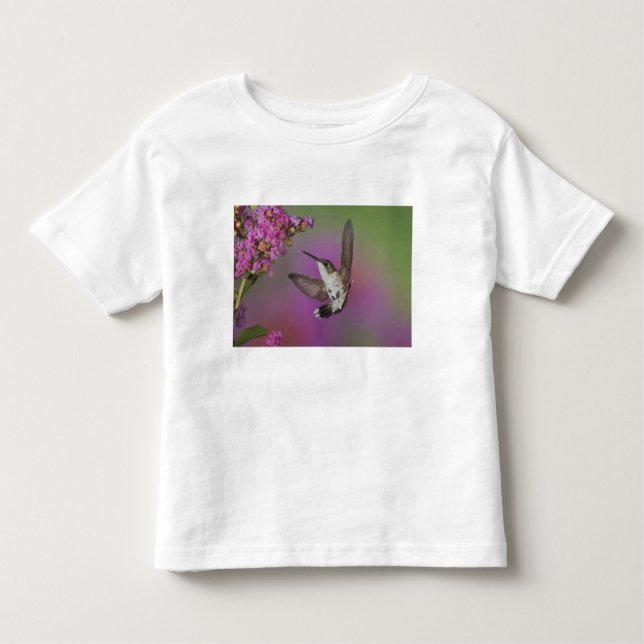Juvenile männlich Ruby Throated Hummingbird Kleinkind T-shirt (Vorderseite)