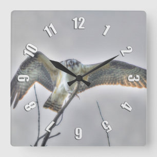 Juvenile Osprey Fish-Eagle Wildlife Photo Clock Quadratische Wanduhr