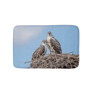Juvenile Osprey im Nest Badematte