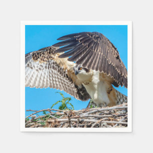 Juvenile Osprey im Nest Serviette