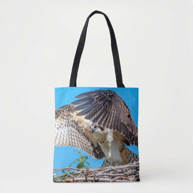 Juvenile Osprey im Nest Tasche (Vorderseite)