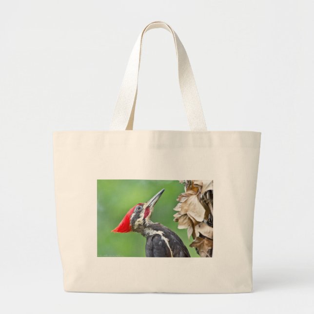 Juvenile Pileated Woodpecker Profile Geschenke App Jumbo Stoffbeutel (Vorne)