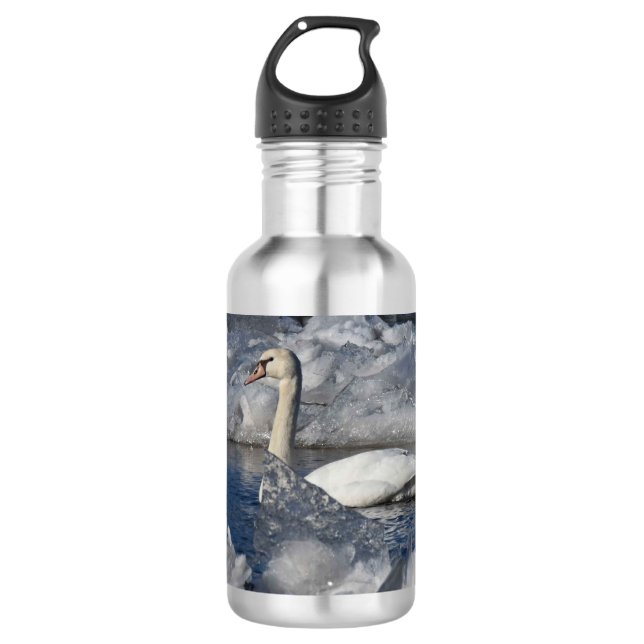 Juvenile Swan im Fluss Icey Edelstahlflasche (Vorderseite)