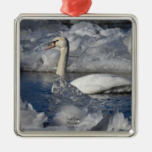 Juvenile Swan im Fluss Icey Ornament Aus Metall