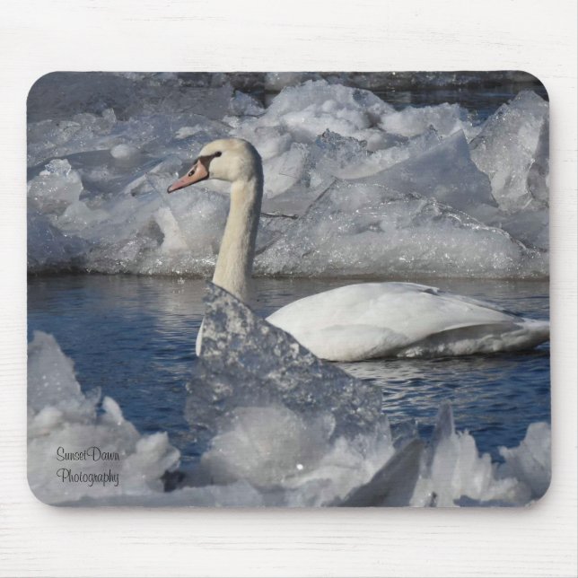 Juvenile Swan in Icey River Mousepad (Vorne)