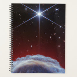 JWST-Bild des Rosshaennebels Planer