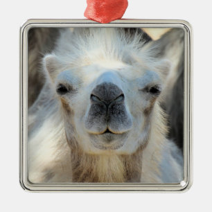 K2 Keramik Ornament Aus Metall