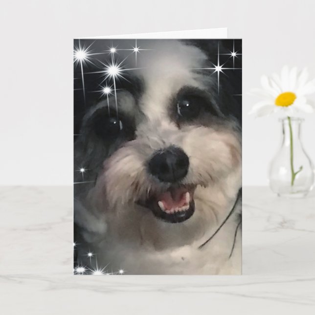 K-Cee Stars Vielen Dank Karte (Kleine Pflanze)