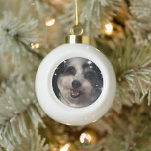 K-Cee Stars Zuchon Hund Keramik Kugel-Ornament