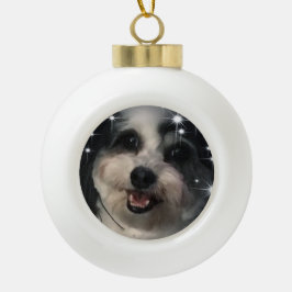 K-Cee Stars Zuchon Hund Keramik Kugel-Ornament