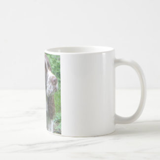 "K.D." Tasse