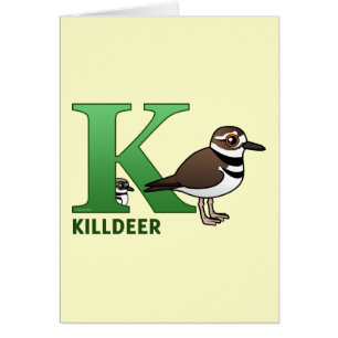 K ist für Killdeer
