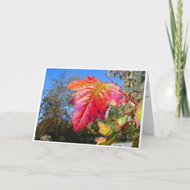 K&K - Carte de sympathie (Devant)