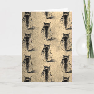 K Katzen Stift Tinte Zeichnung Illustration Kunst Karte