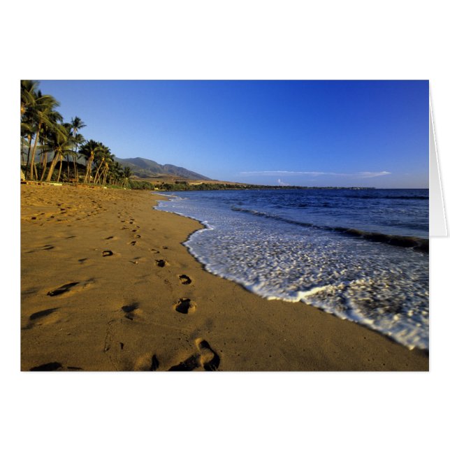 Kaanapali beach, Maui, Hawaii, États-Unis (Devant horizontal)