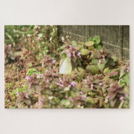 Kabinenmotte auf violetten Blumen