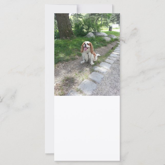 Kabinensitzung (Vorderseite)