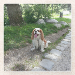 Kabinensitzung Glasuntersetzer