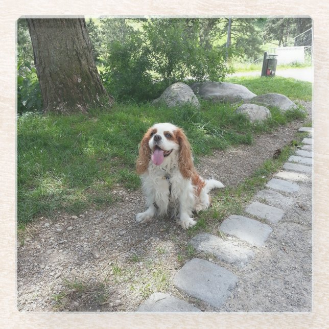 Kabinensitzung Glasuntersetzer (Vorderseite)