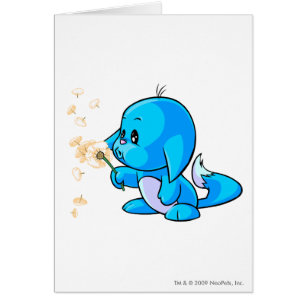 Kacheek Blau