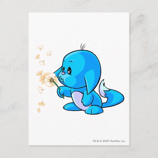 Kacheek Blue Postkarte (Vorderseite)
