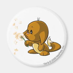 Kacheek Brown Magnet