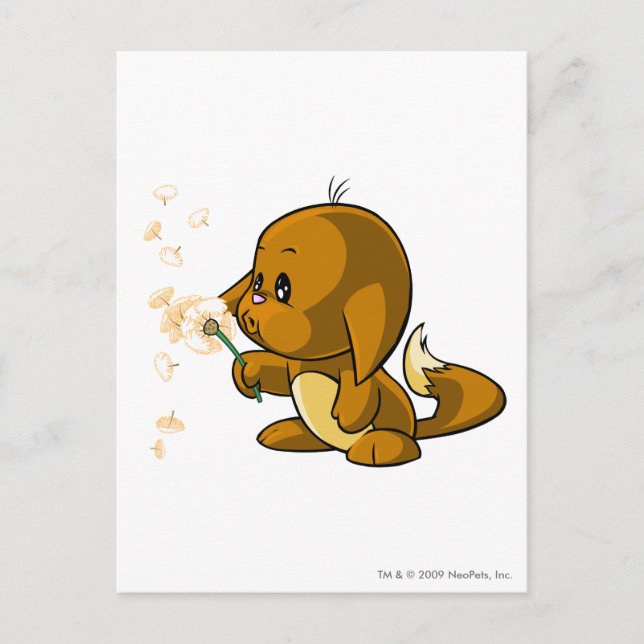 Kacheek Brown Postkarte (Vorderseite)